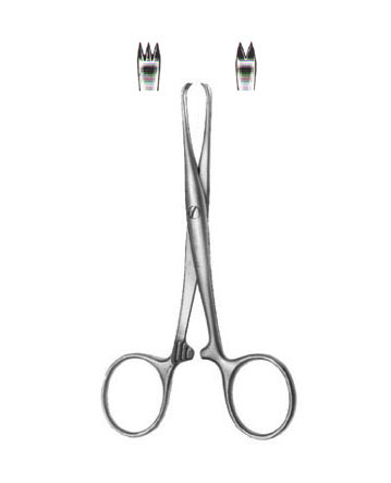 TISSUE AND ORGAN HOLDING FORCEPS