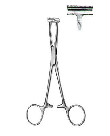 TISSUE AND ORGAN HOLDING FORCEPS