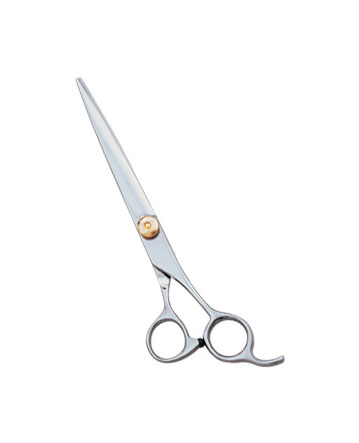 Professional Hair Cutting Scissor