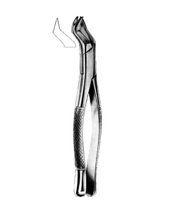 Extracting Forceps Amarican Pattern